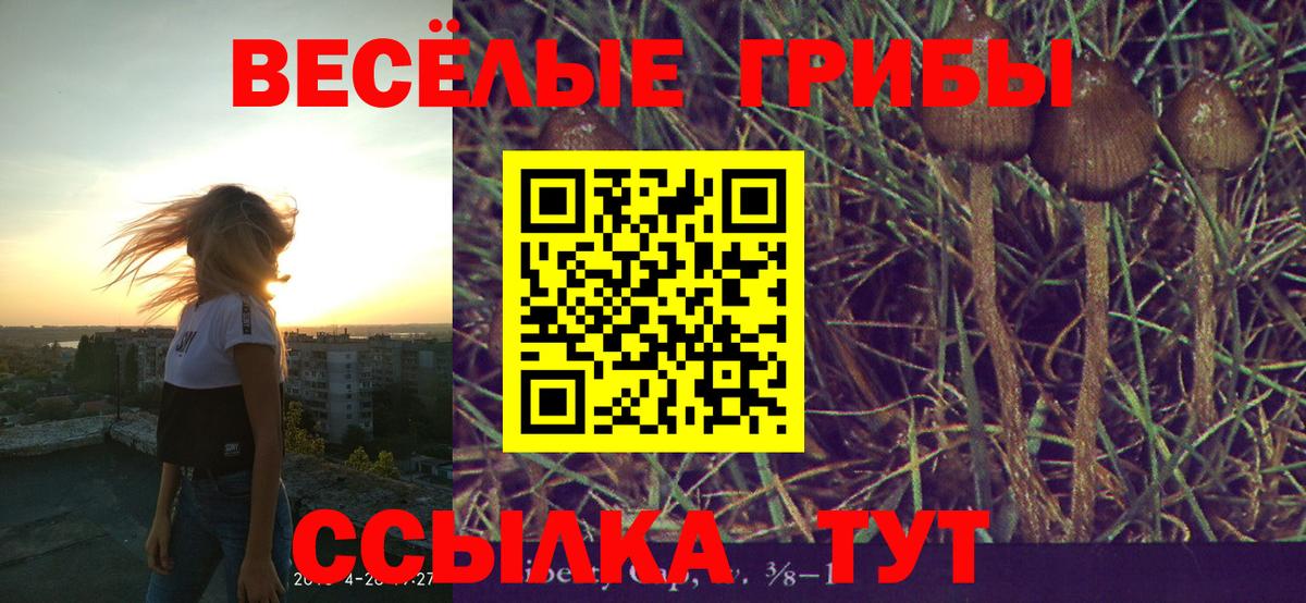 Галлюциногенные грибы ЛСД Невинномысск